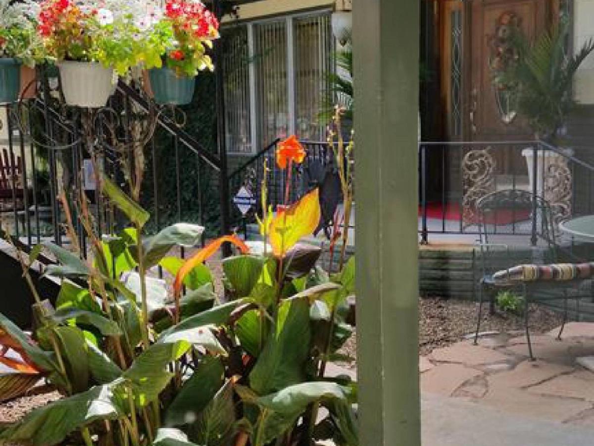 Tradewinds Lodging Eureka Springs Exteriör bild